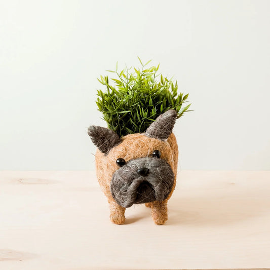 Frenchie Planter