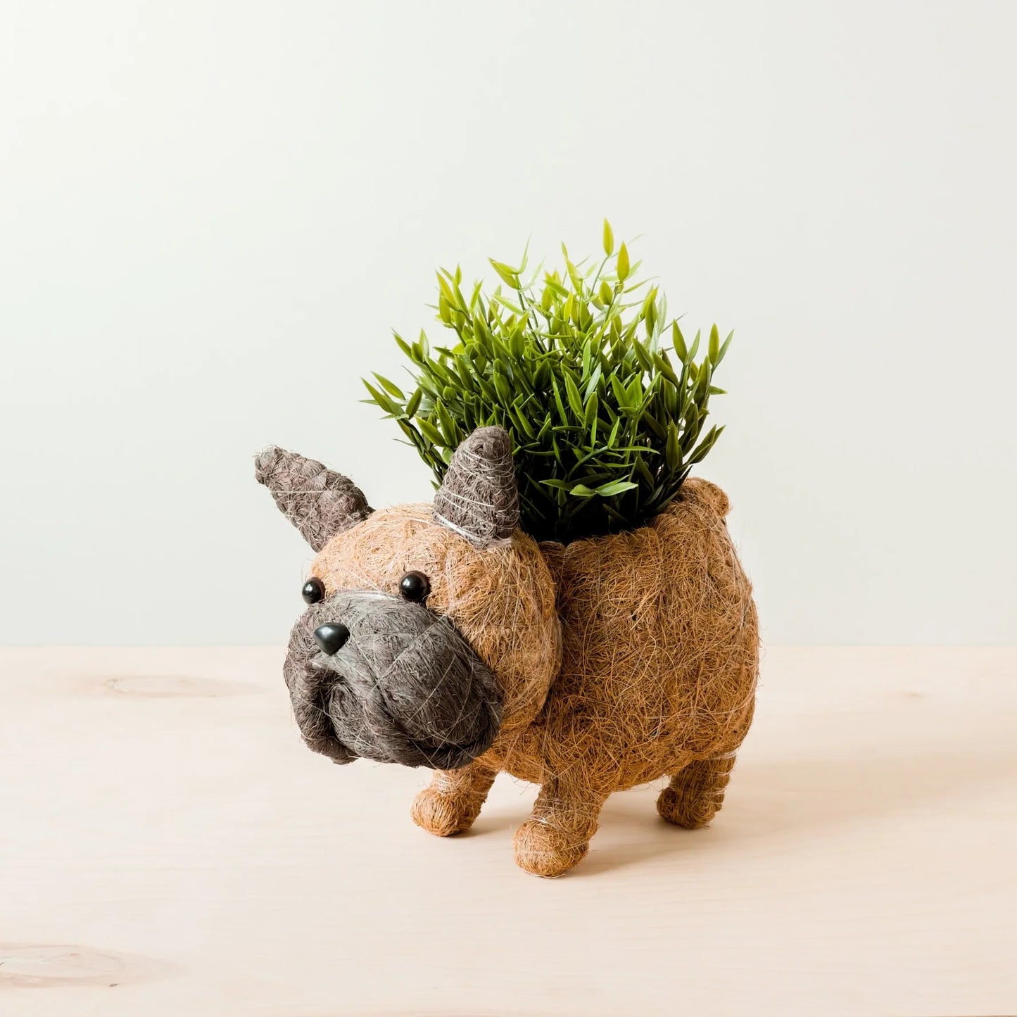 Frenchie Planter